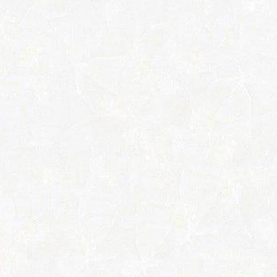 سرامیک سیلور سفید 60*60 کاشی گلچین