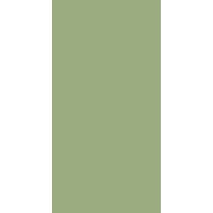 سرامیک پرسلان (green) سبز تیره 60*120 روکا سرام