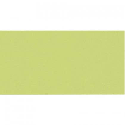 سرامیک پرسلان مونوکالر(Monocolor Green) سبز 60*120 راک سرامیک