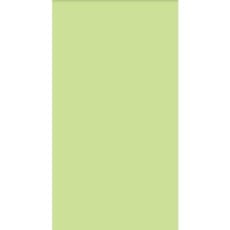 سرامیک پرسلان (green) سبز روشن 60*120 روکا سرام