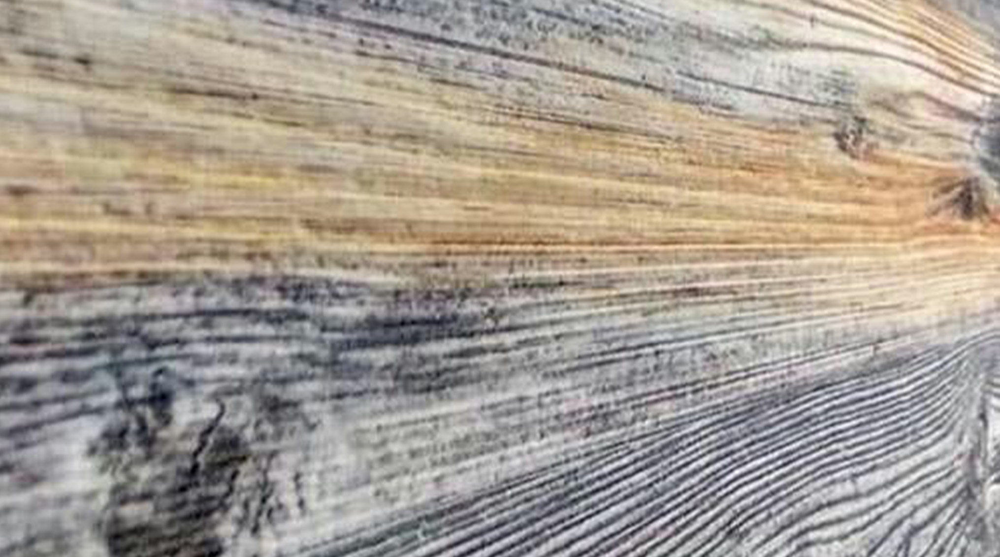 دیوار پوش های فوم پلی استایرن