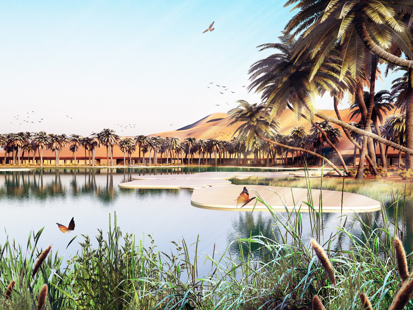 کفپوش لمینت تجاری سبزترین تفریحگاه بیابانی در امارات متحده عربی