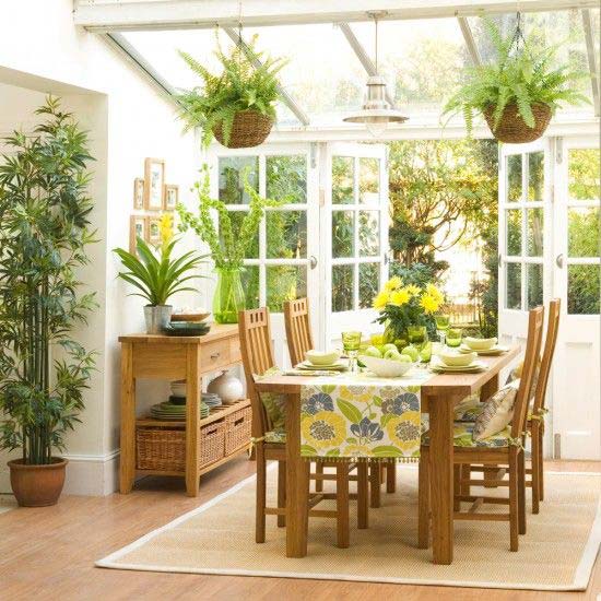 زیبایی خانه با چیدمان گیاهان