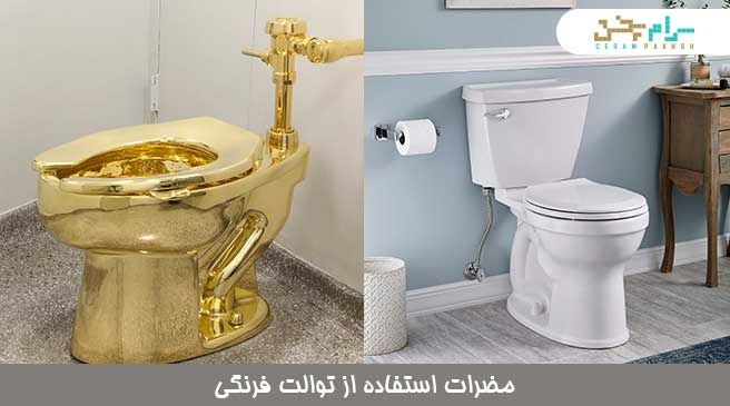 مضرات توالت فرنگی برای بدن
