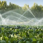معرفی انواع لوله انتقال آب در کشاورزی