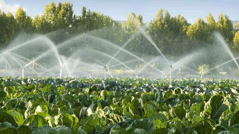 معرفی انواع لوله انتقال آب در کشاورزی