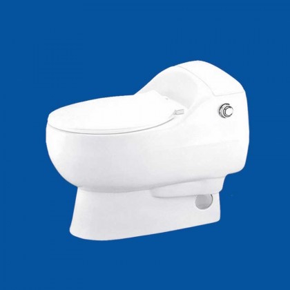 فرنگی یک تکه کاسپین محصول چینی بهداشتی آرمیتاژ